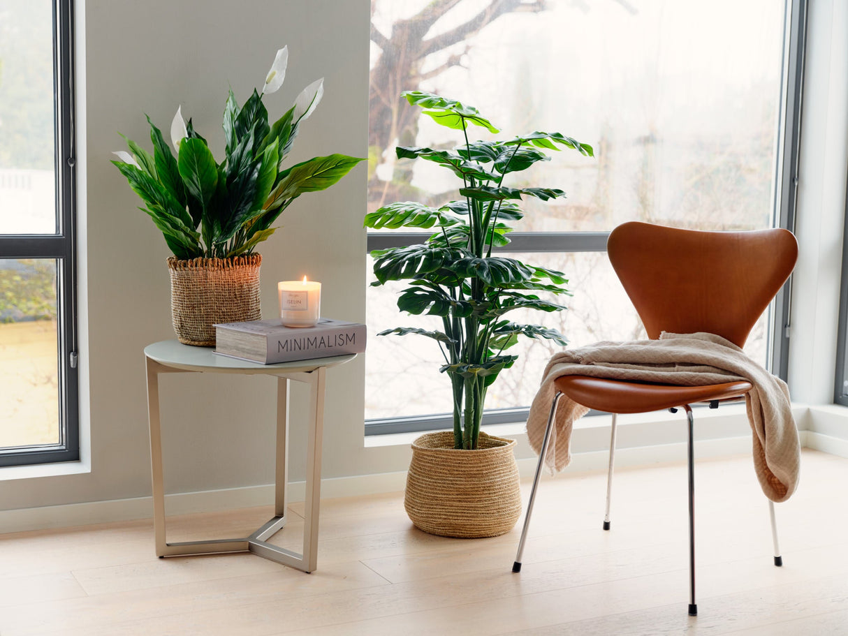 Flora Monstera 120 cm