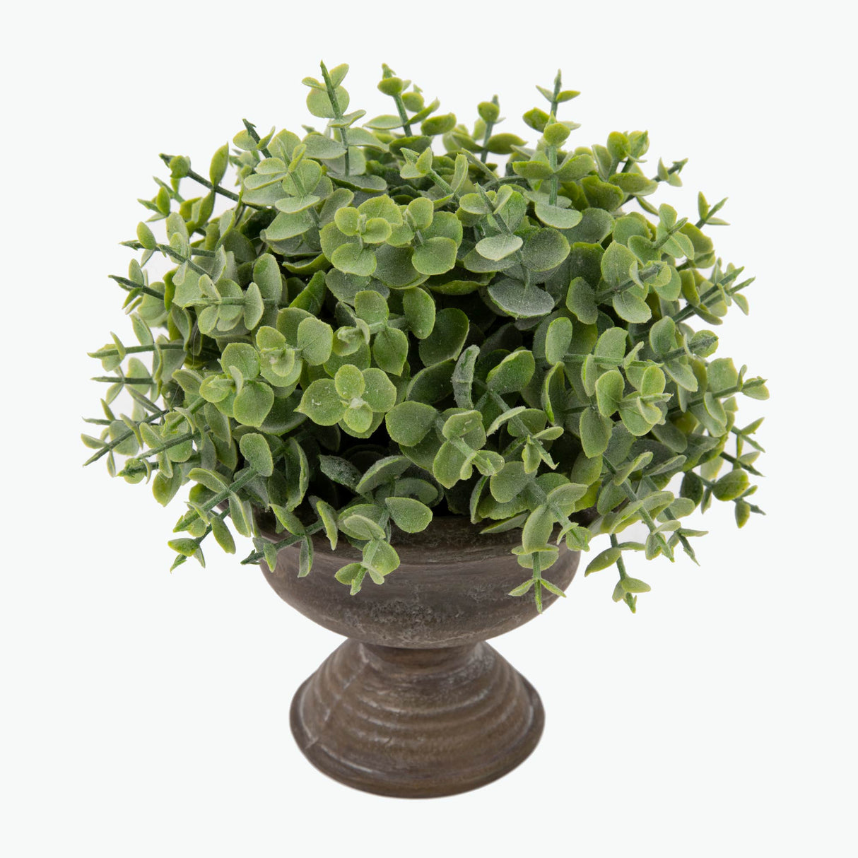 Flora Eucalyptus 20 cm