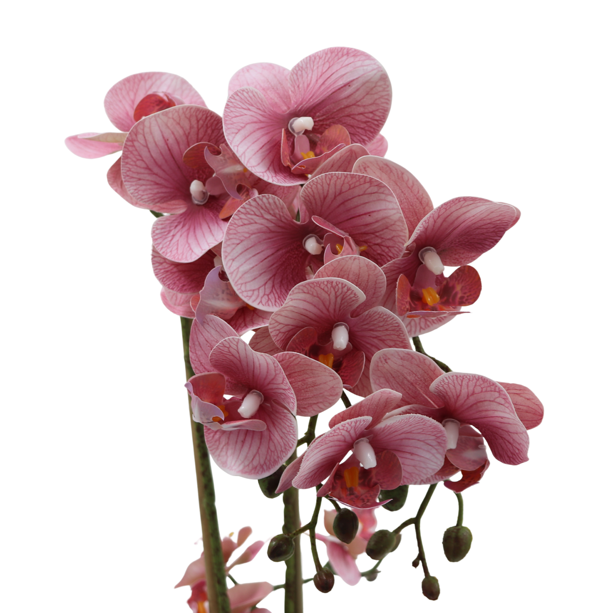 Orchid rosa 47 cm m/hvit potte