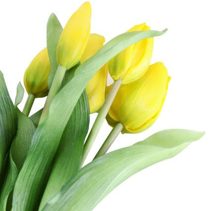 Tulip tulipaner gul 33 cm 7 stk