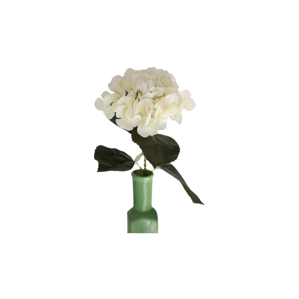 Hortensia hvit 62 cm