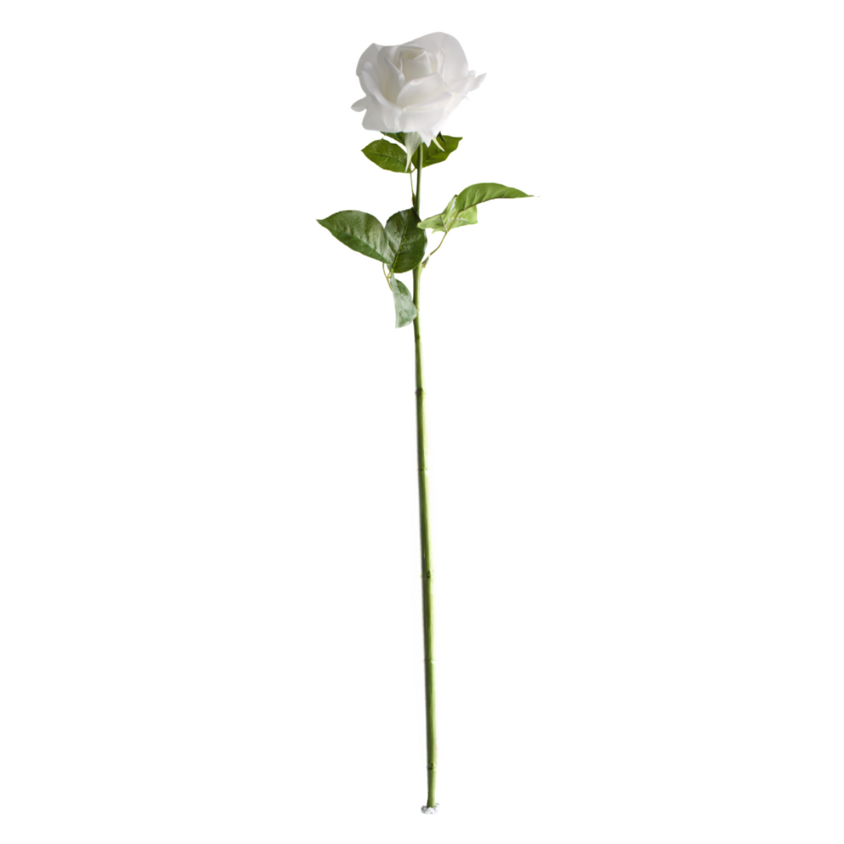 Rose white 64 cm