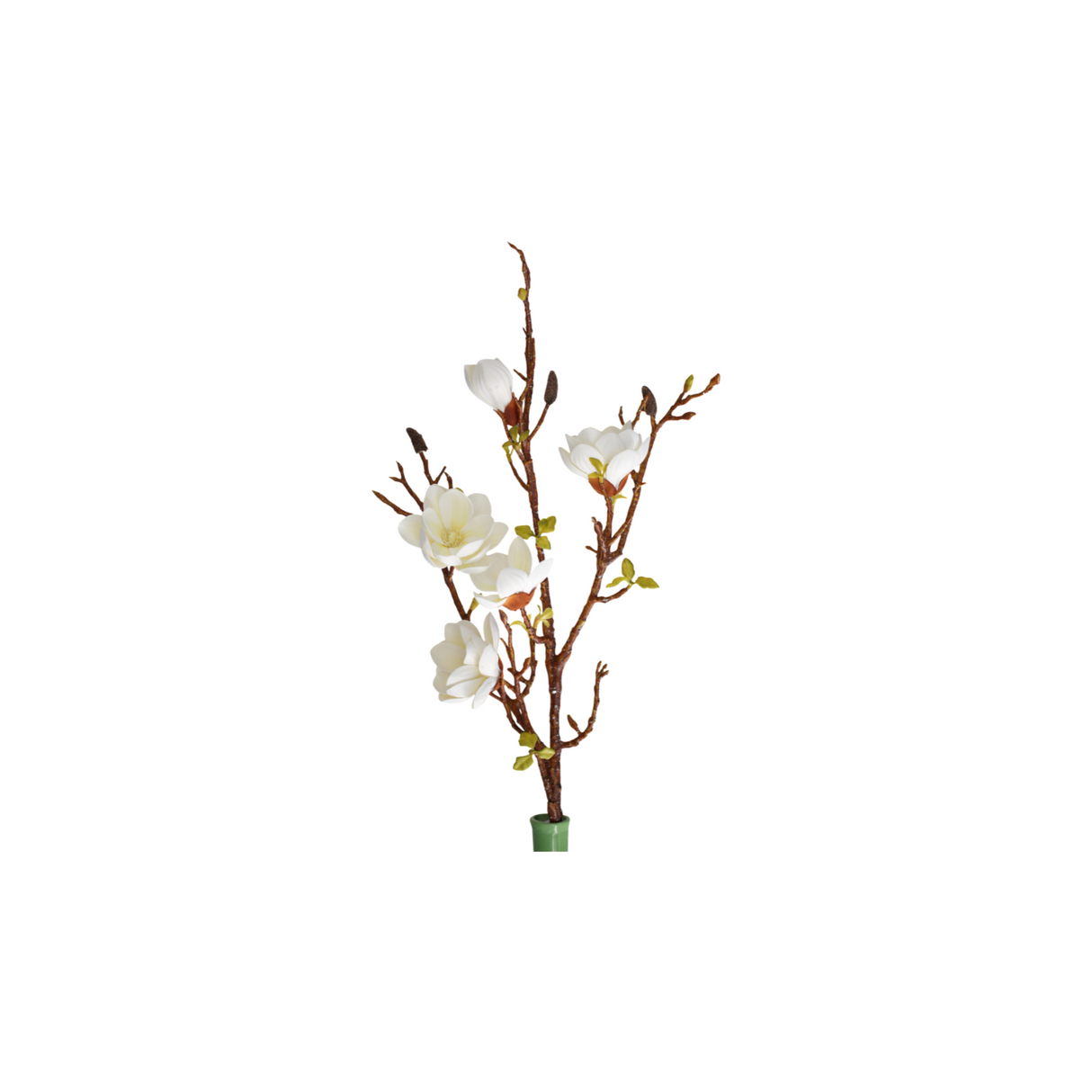 Magnolia white 106 cm