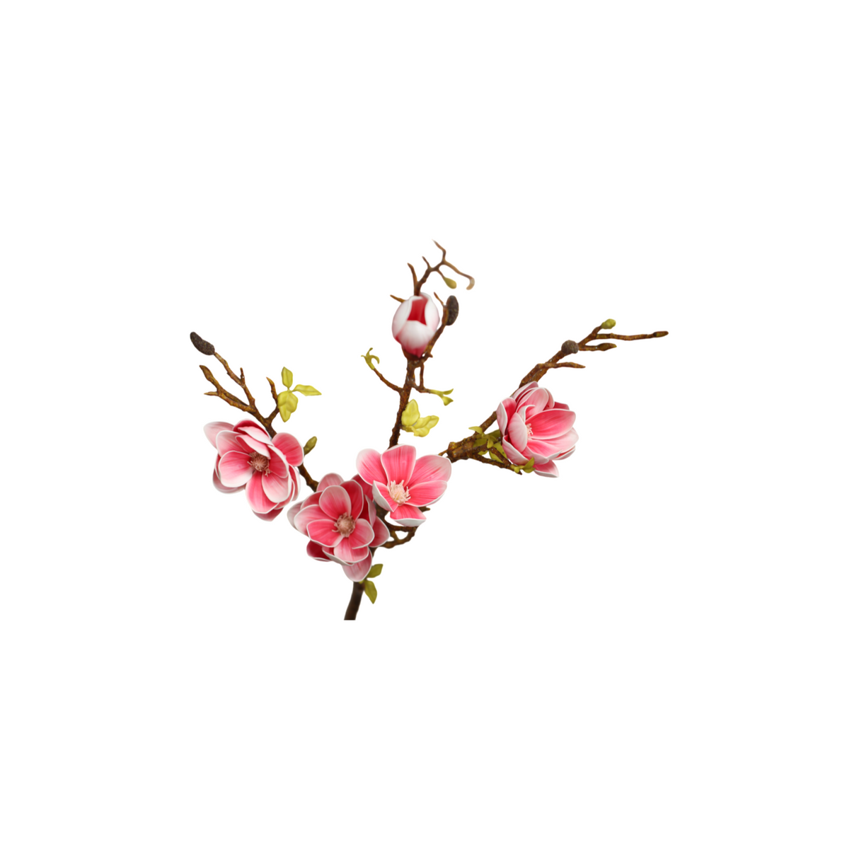 Magnolia light pink 106 cm
