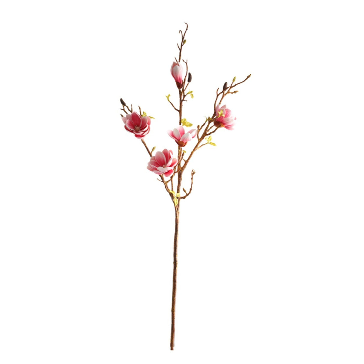 Magnolia light pink 106 cm