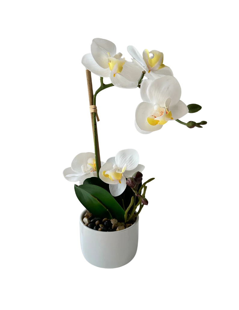 Orchid white 30 cm