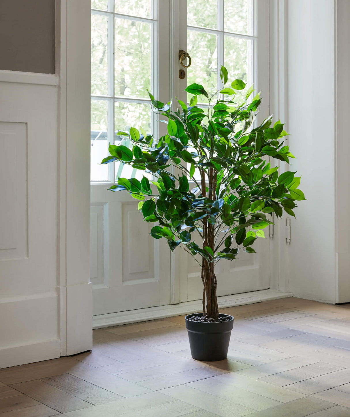Flora Fiken 90 cm