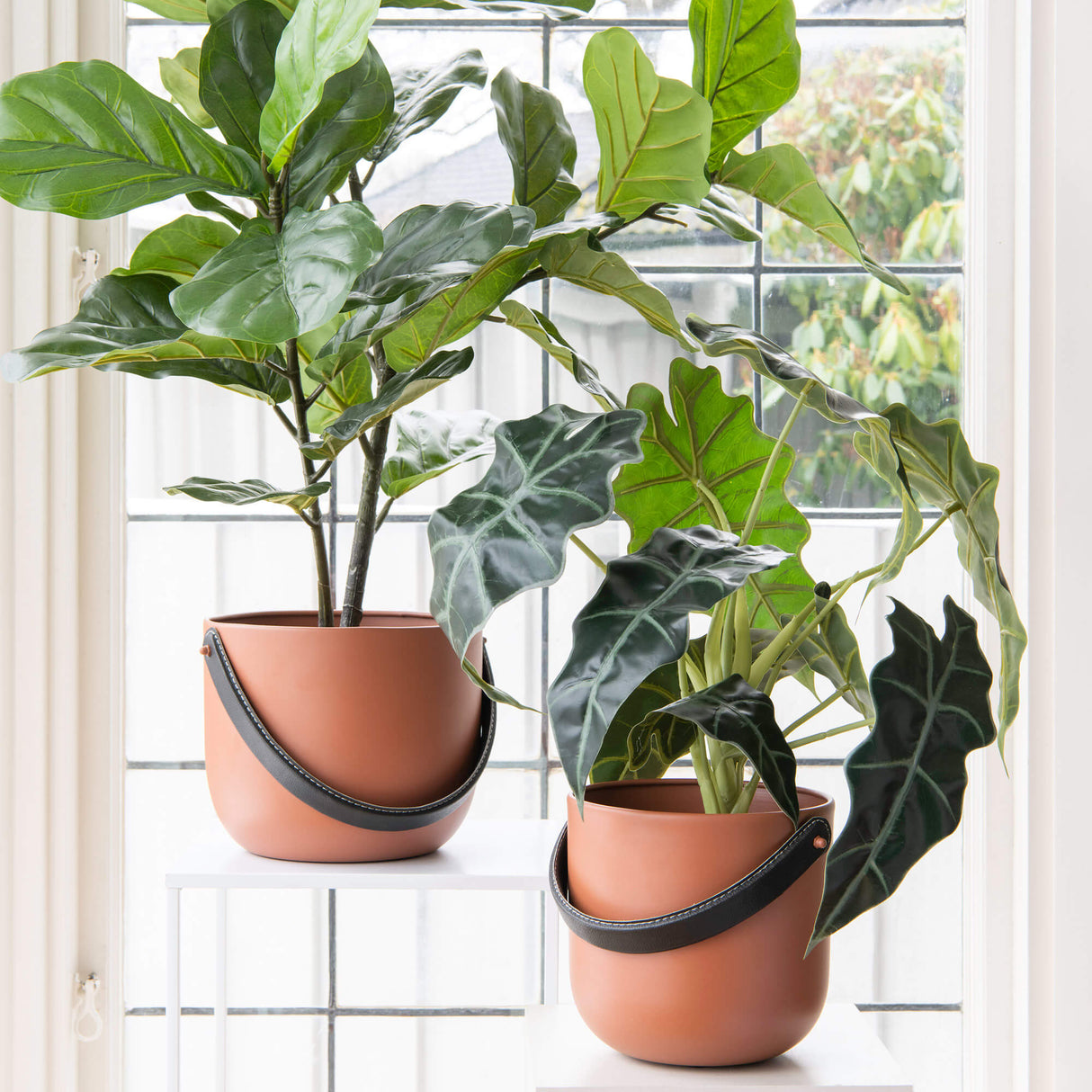 Lola potteskjuler terracotta stor