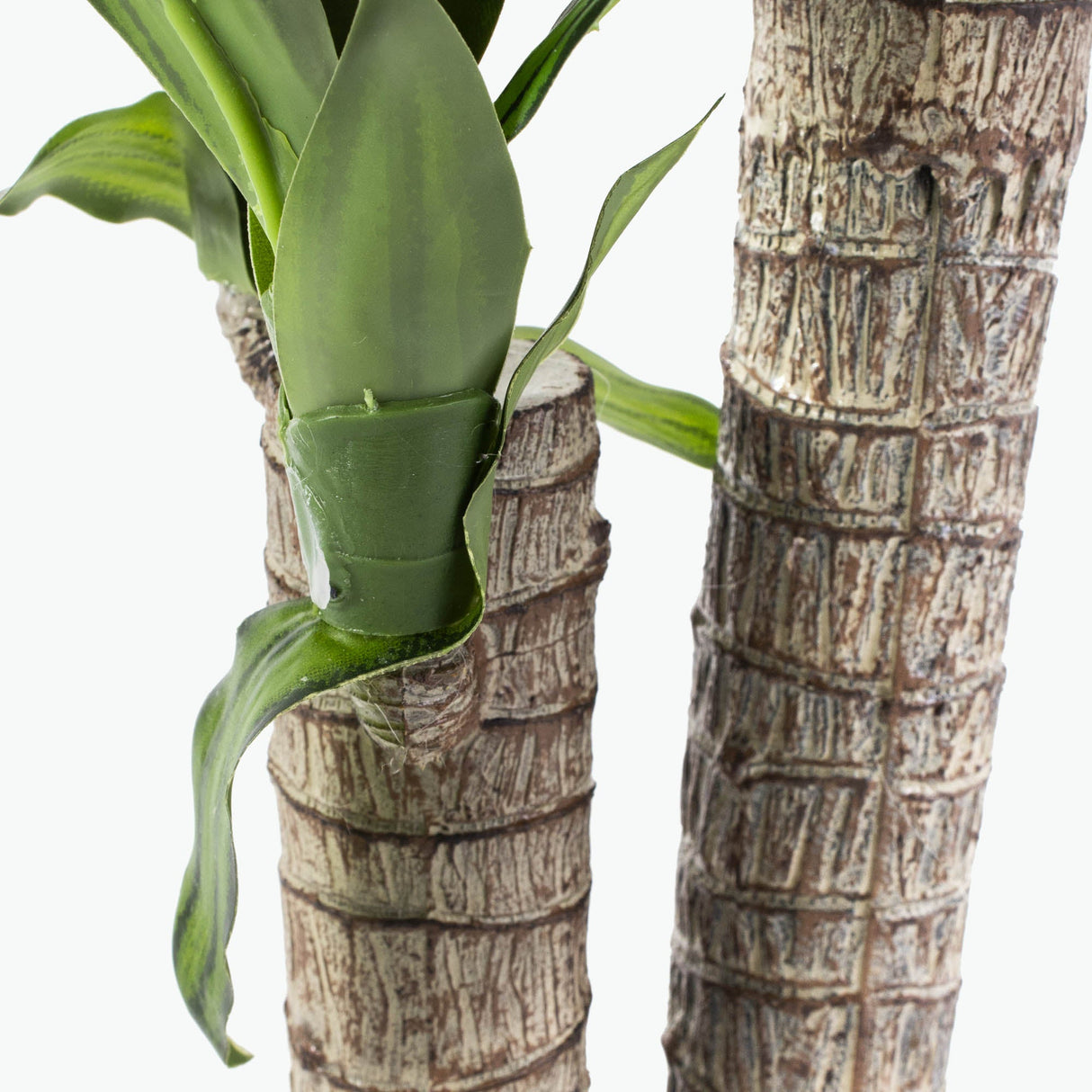 Flora Draketre H: 90 cm