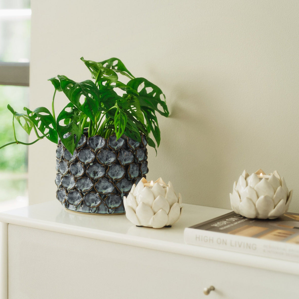 Biloba Green potteskjuler