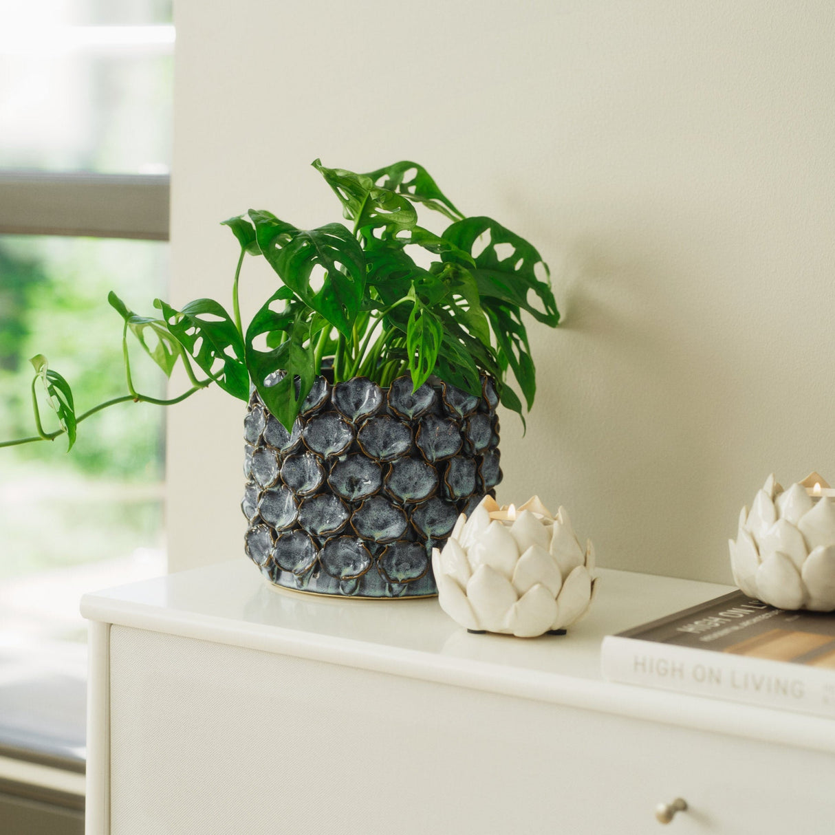 Biloba Blue potteskjuler