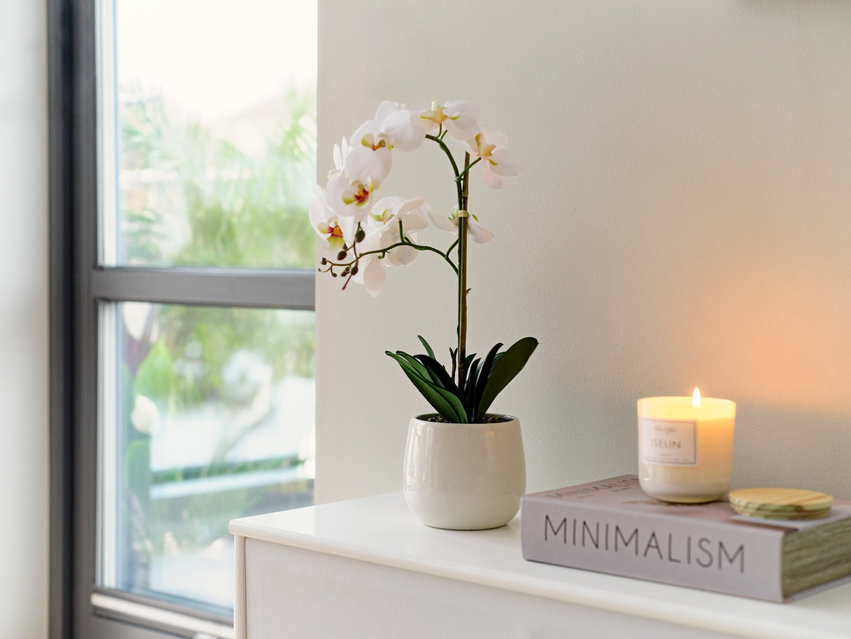 Orchid rosa 53 cm