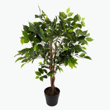 Flora Fiken 90 cm