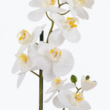 Flora Orkidé 51 cm