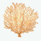 Corallo veggstake for 5 lys