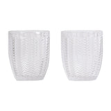 Carla water glass 2-pack clear