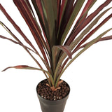 Flora Red Star 85 cm