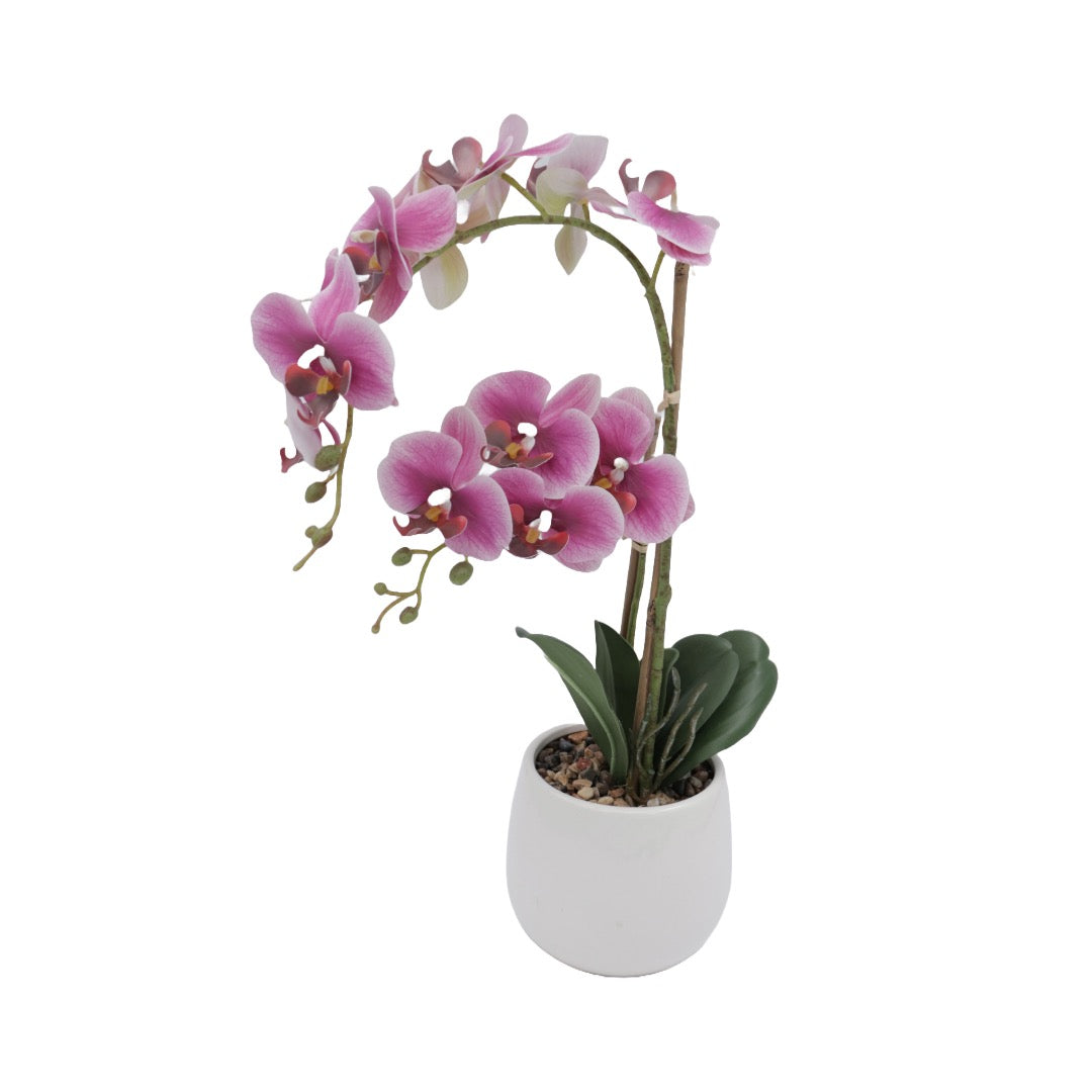 Orchid rosa 53 cm