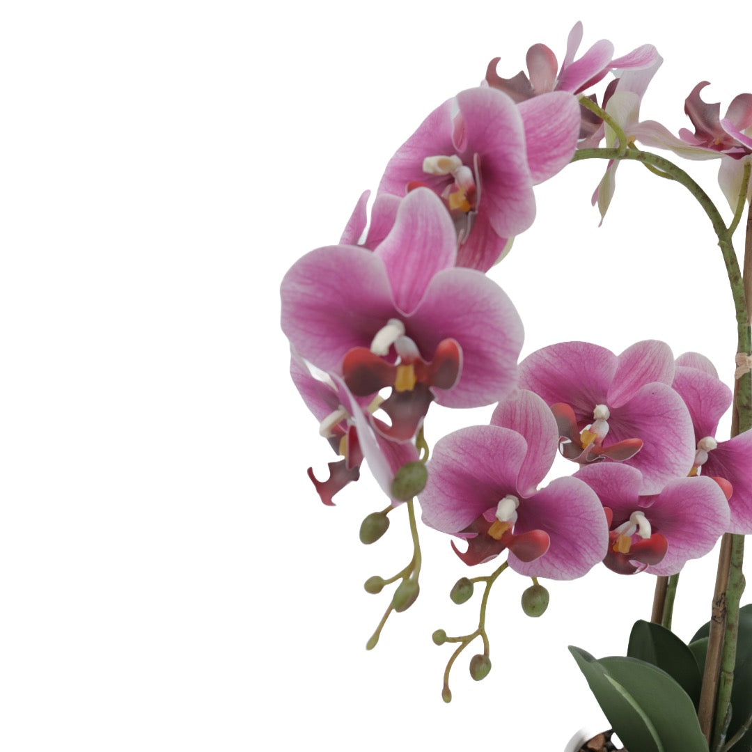 Orchid rosa 53 cm