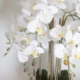 Orchid hvit 73 cm