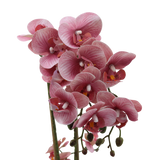 Orchid rosa 47 cm m/hvit potte
