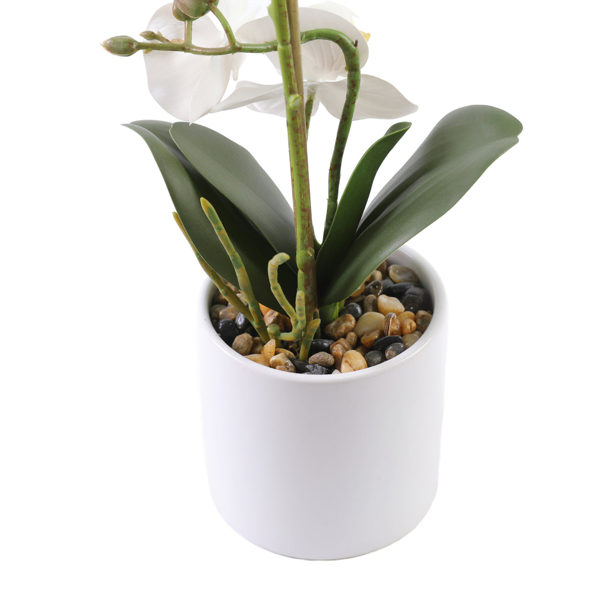 Orchid hvit 35 cm