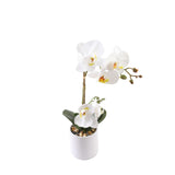 Orchid hvit 35 cm