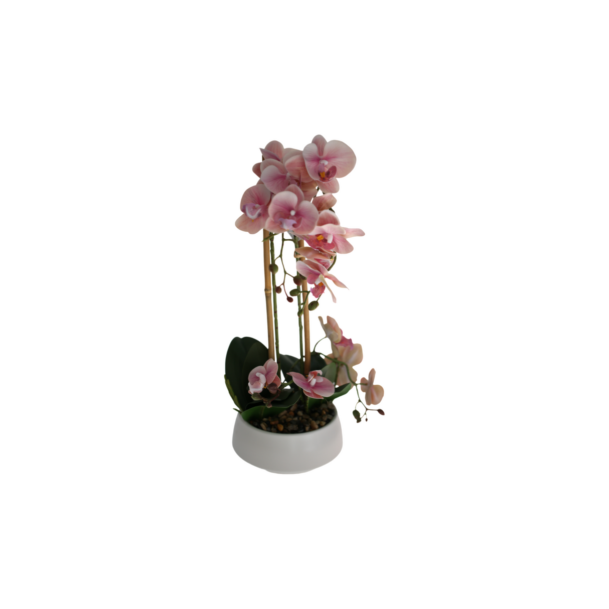 Orchid pink 47 cm