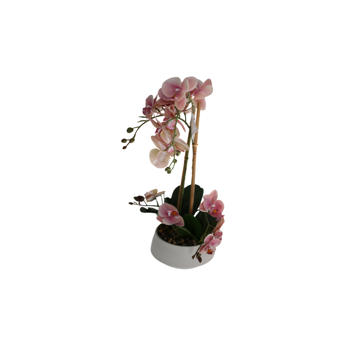 Orchid pink 47 cm