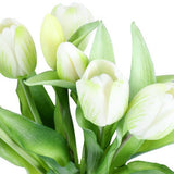 Tulip tulipaner hvit 33 cm 7 stk