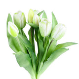 Tulip tulipaner hvit 33 cm 7 stk