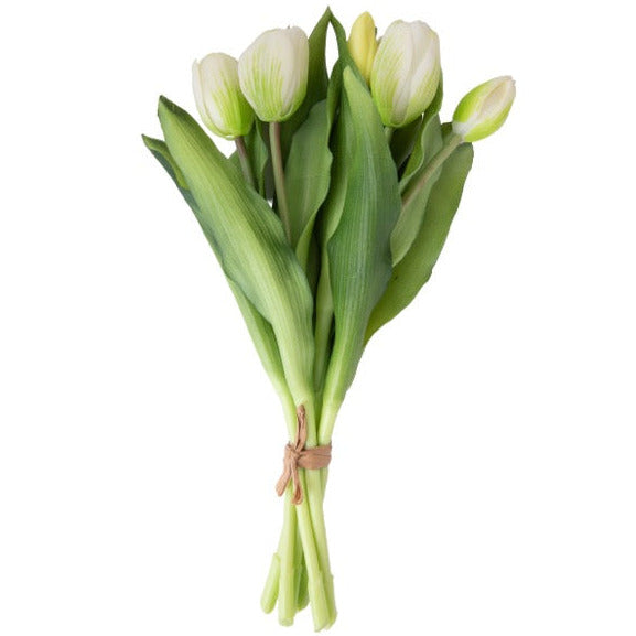Tulip tulipaner hvit 33 cm 7 stk
