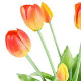 Tulip tulipaner gul/rød 40 cm 5 stk