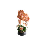 Orchid brown/burgundy 47 cm