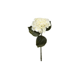 Hortensia hvit 62 cm