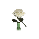 Hortensia hvit 62 cm