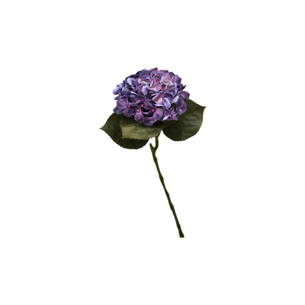 Hortensia blå 62 cm