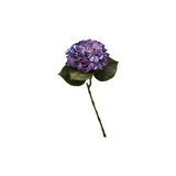 Hortensia blå 62 cm