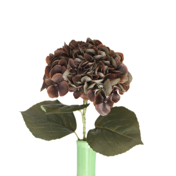 Hortensia brun 62 cm