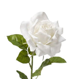 Rose white 64 cm
