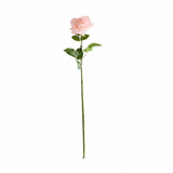 Rose light pink 64 cm