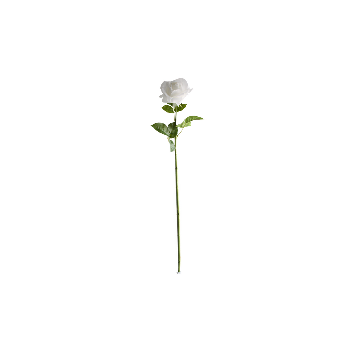 Rose white 64 cm