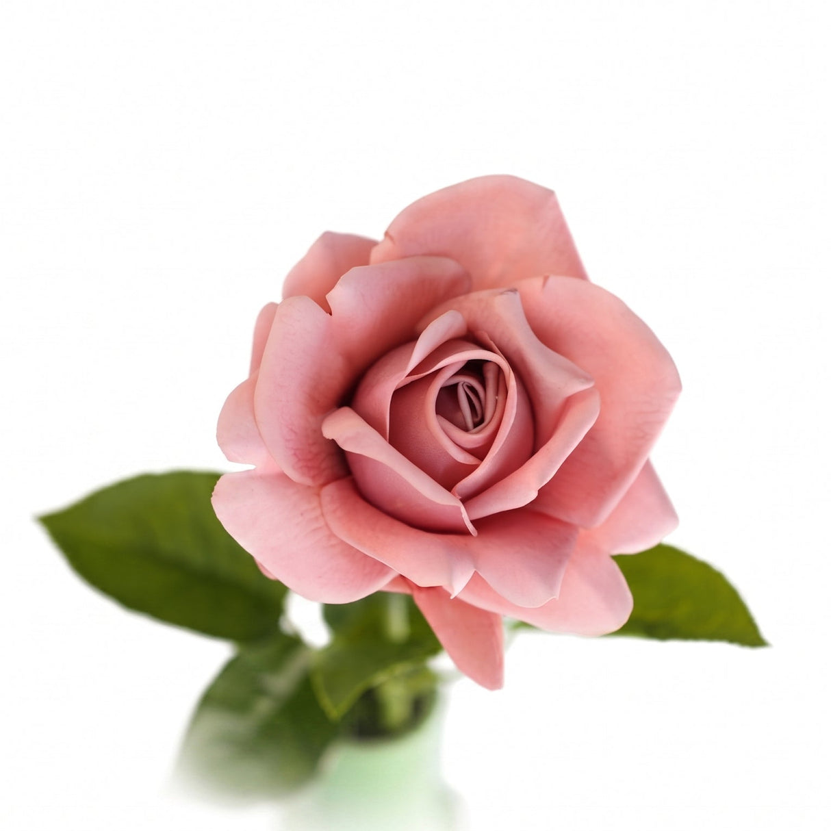 Rose dusty rose 64 cm