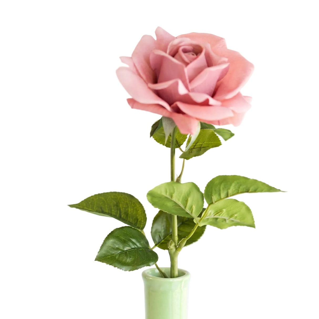 Rose dusty rose 64 cm