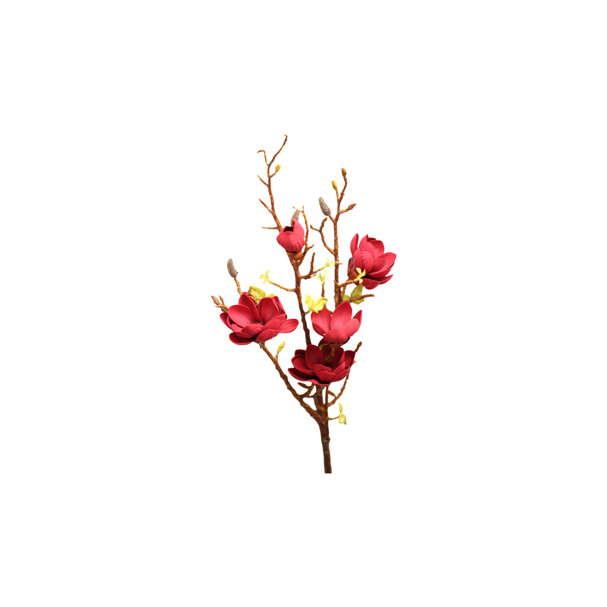 Magnolia burgundy 106 cm