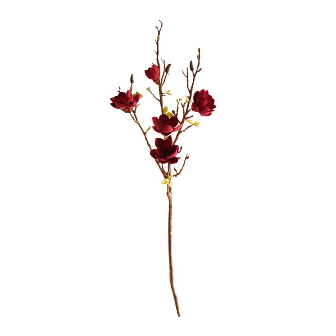 Magnolia burgundy 106 cm