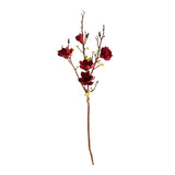Magnolia burgundy 106 cm