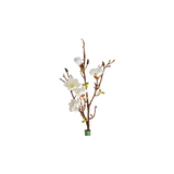 Magnolia white 106 cm