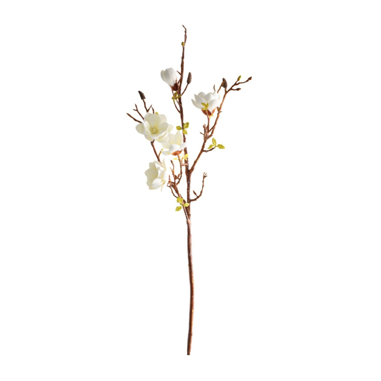Magnolia white 106 cm