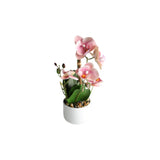 Orchid pink 30 cm